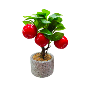 Botany - Mini Cherry Plant